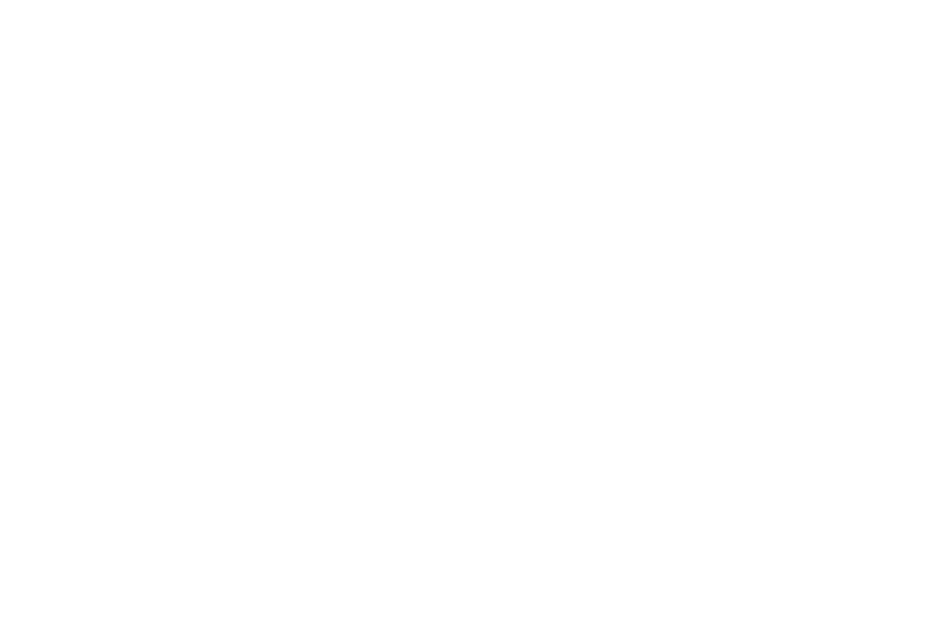 NİTELEN